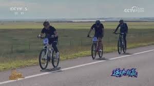 克雷莫内塞3-1博洛尼亚，瓦尔迪双响，帕耶罗破门